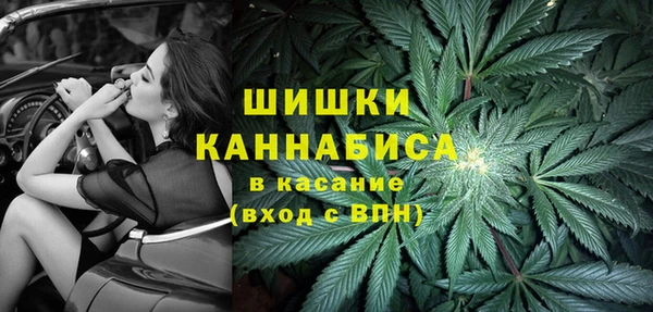 СК Сатка